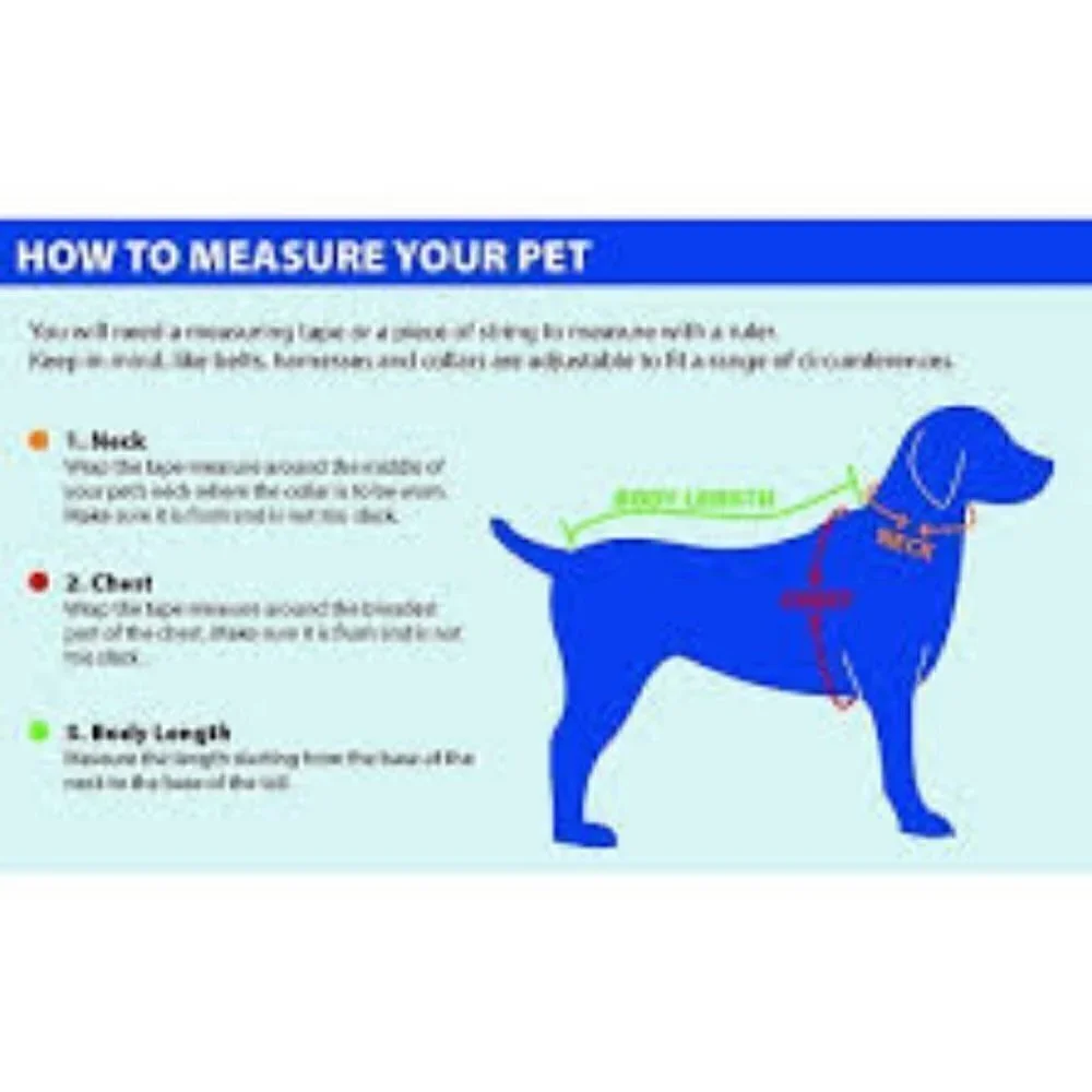 Cam Newton Mesh Dog & Cat Jersey, Small